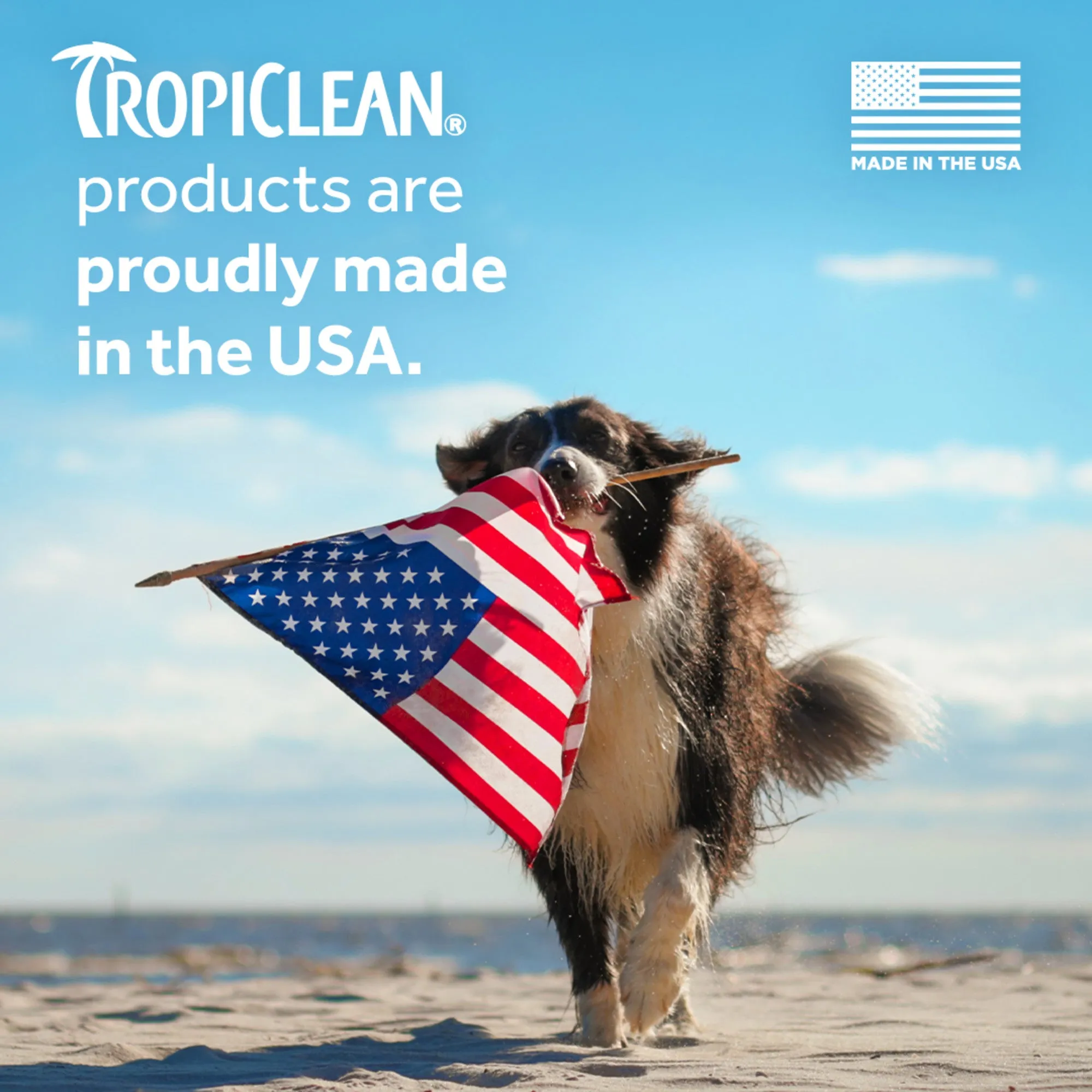 20% OFF: TropiClean Berry & Coconut Deep Cleansing Waterless Shampoo For Cats