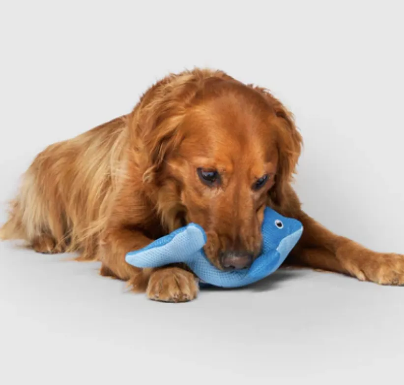 Canada Pooch Chill Seeker Cooling Pals Blue Dolphin