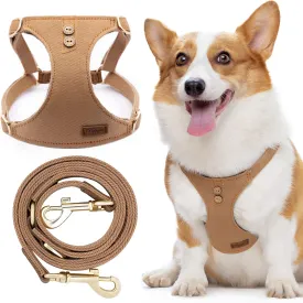 Dog Harness, No Pull Dogs Harness and Multi-Function Leash Set for Medium Dogs Easy Walk Everyday Adjustable Soft Dog Vest Harness Fashionable Dog Accessories Denim Khaki-Button-M(16lb-35lb)