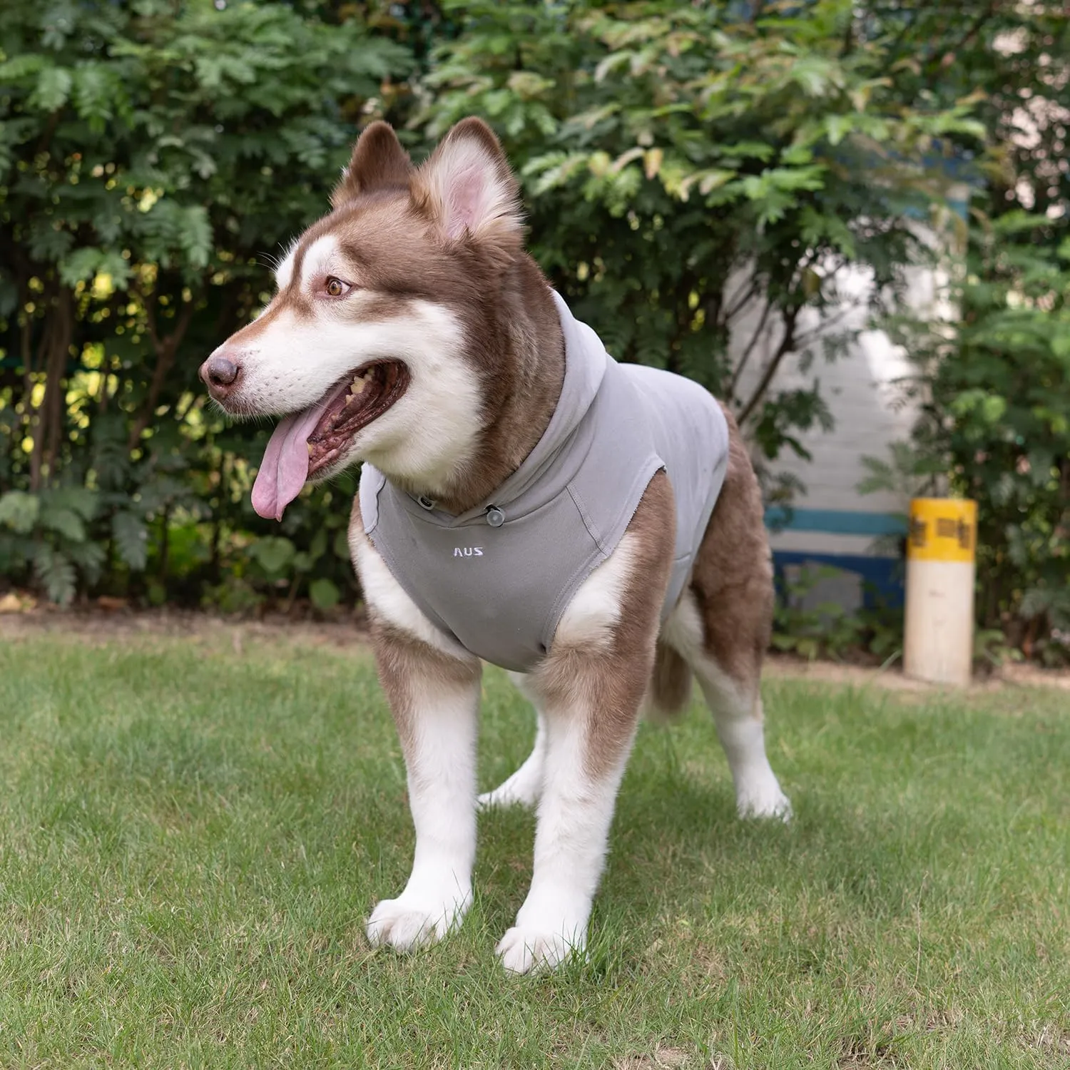 Dog Pet Clothes Hoodies Sleeveless Sweatershirt for Extra Large Dogs Boy Girl Doggy Sweater Elastic Cotton Pullover Hoodie for Labrador Golden Retriever Border Collie German Shepherd - Grey XXL