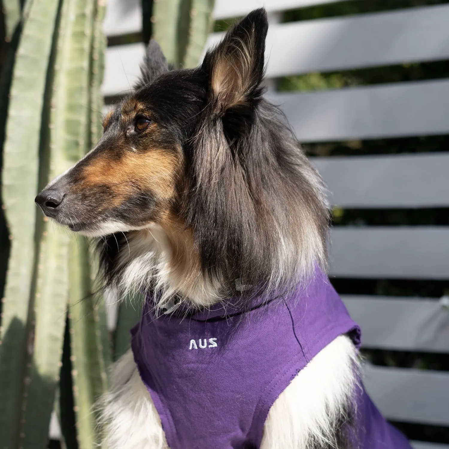 Dog Pet Clothes Hoodies Sleeveless Sweatershirt for Extra Large Dogs Boy Girl Doggy Sweater Elastic Cotton Pullover Hoodie for Labrador Golden Retriever Border Collie German Shepherd - Purple XXL