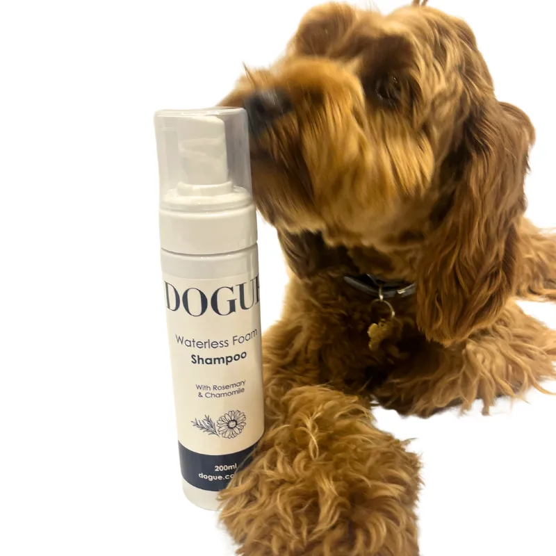 DOGUE Waterless Foam Dog Shampoo