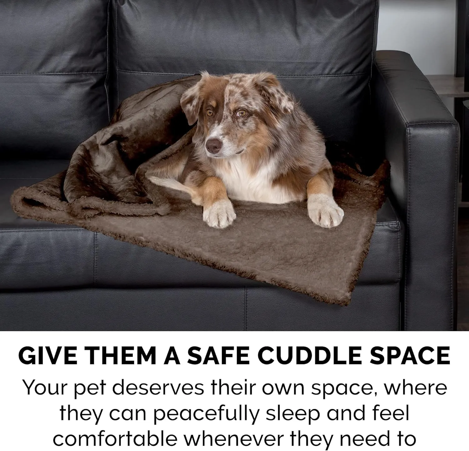 Furhaven Waterproof & Self-Warming Throw Blanket for Dogs & Indoor Cats, Washable & Reflects Body Heat - Soft-Edged Terry & Sherpa Dog Blanket - Espresso, Medium