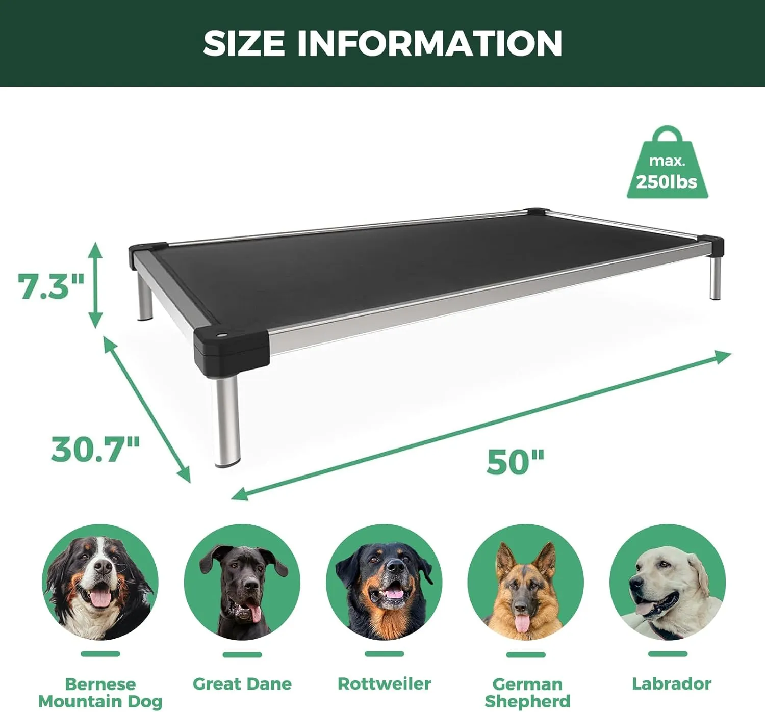 FXW TitanNest Cooling Chew-Proof Elevated Dog Bed, Washable Raised Cot for Outdoor/Camping/Indoor Use, Waterproof & Durable Pet Bed for Large Dogs, 50-Inch, Black