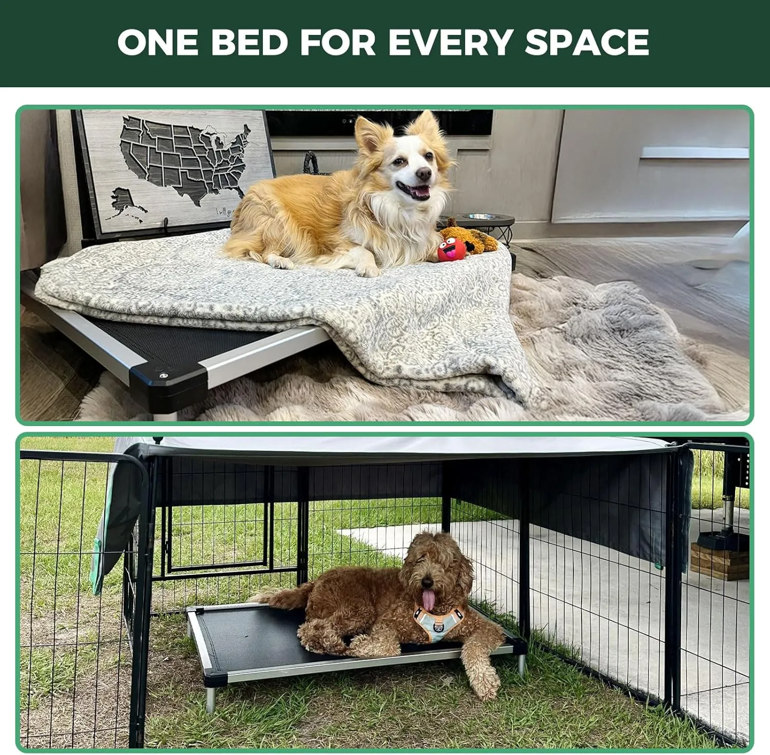 FXW TitanNest Cooling Chew-Proof Elevated Dog Bed, Washable Raised Cot for Outdoor/Camping/Indoor Use, Waterproof & Durable Pet Bed for Large Dogs, 50-Inch, Black