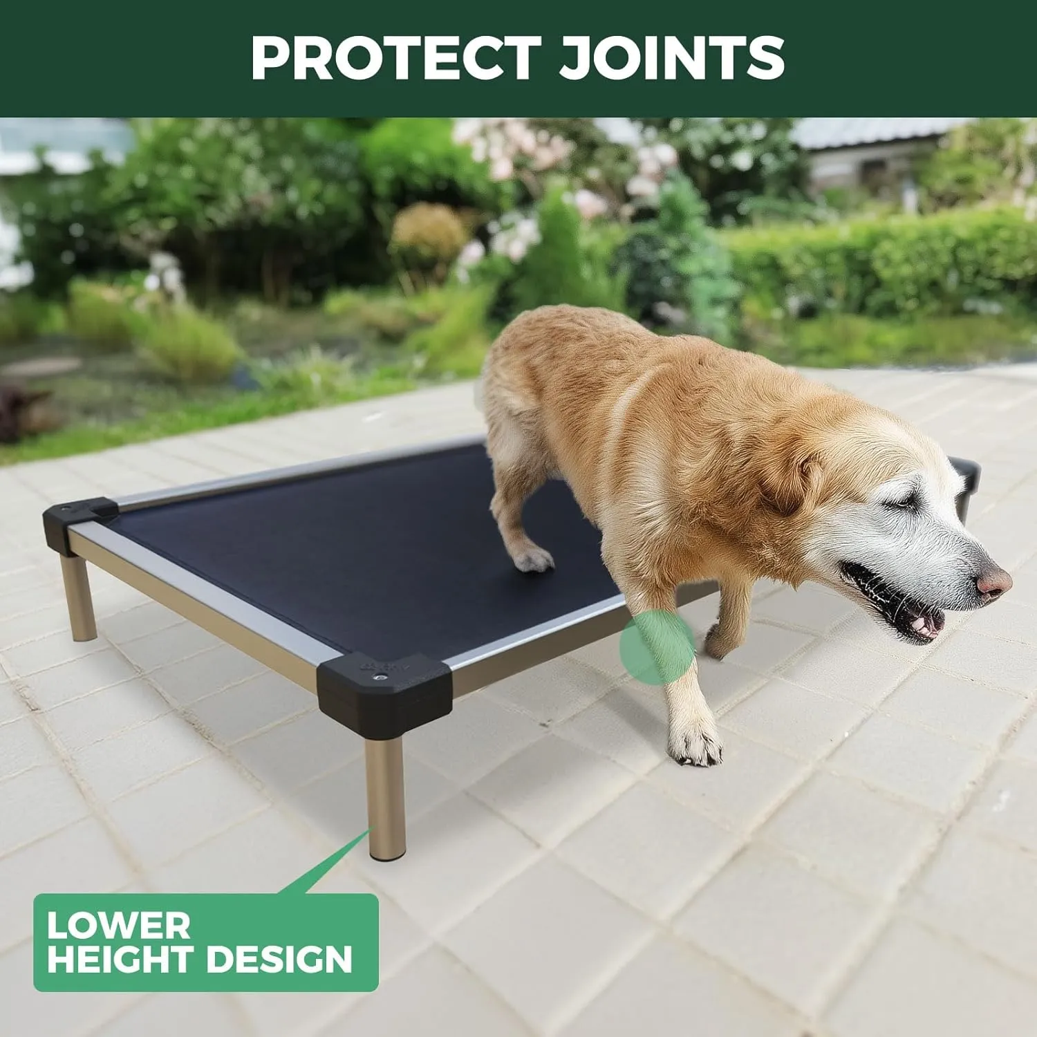 FXW TitanNest Cooling Chew-Proof Elevated Dog Bed, Washable Raised Cot for Outdoor/Camping/Indoor Use, Waterproof & Durable Pet Bed for Large Dogs, 50-Inch, Black
