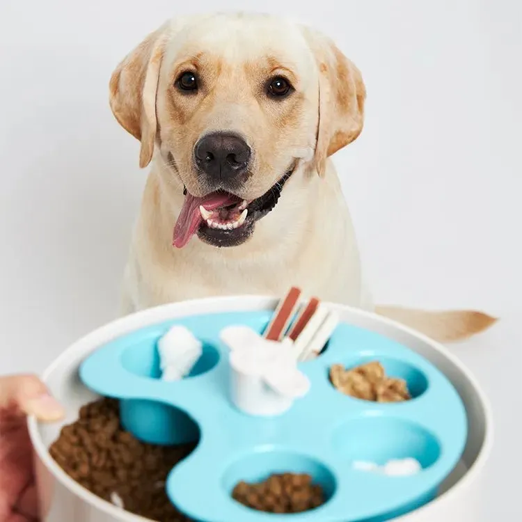 Interactive Feeder Bowl - Palette