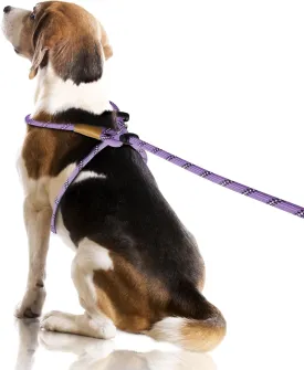 Lynxking No Pull Rope Dog Harness No Pull Reflective Leash Harness Collar 3 in 1 Dog Halter Harnesses Adjustable for Large Giant Dog