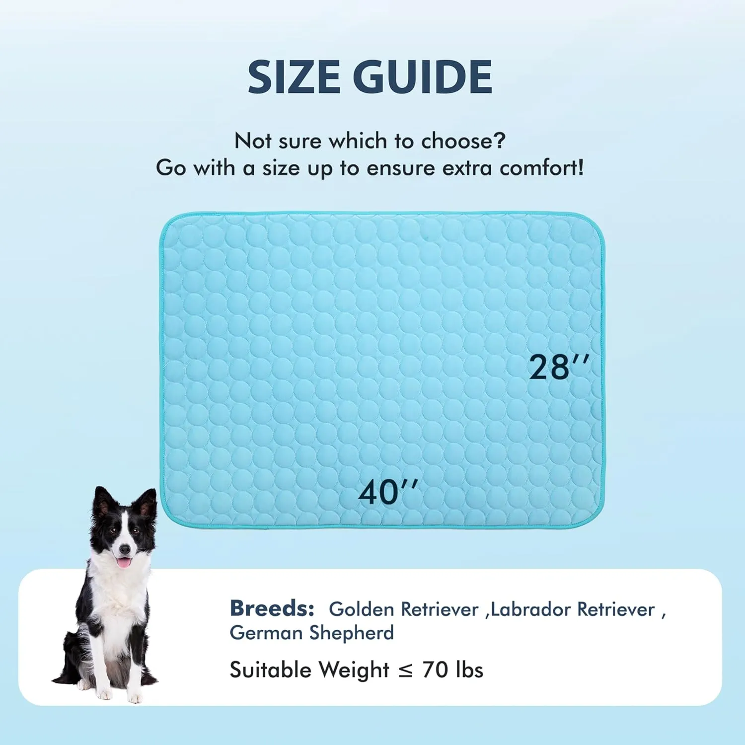 MICROCOSMOS Summer Cooling Mat & Sleeping Pad- Water Absorption Top, Materials Safe, Easy Carry, EZ Clean. Keep Cooling for Pets, Kids and Adults.(Blue, 40" x 28")
