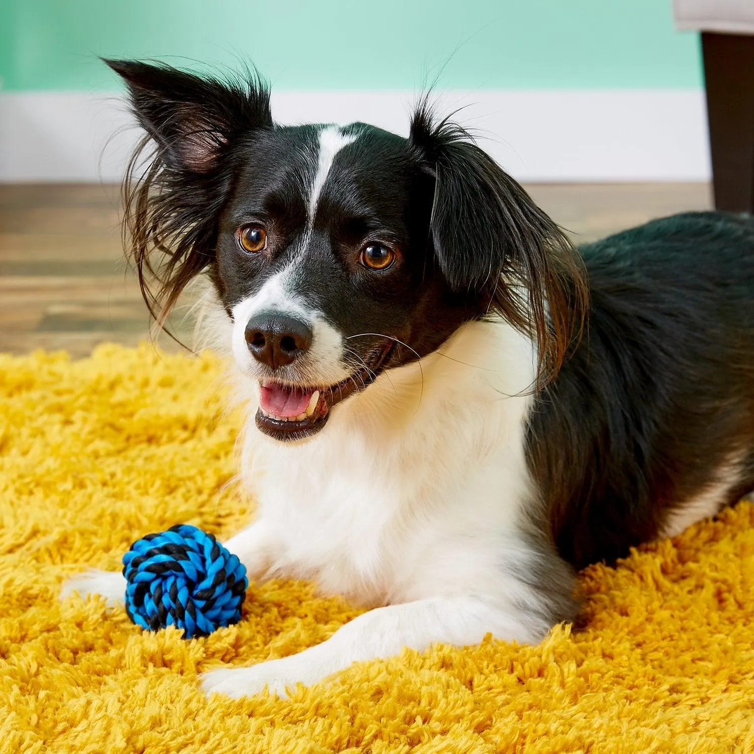 Multipet Nuts for Knots Ball Dog Toy: 3 Sizes