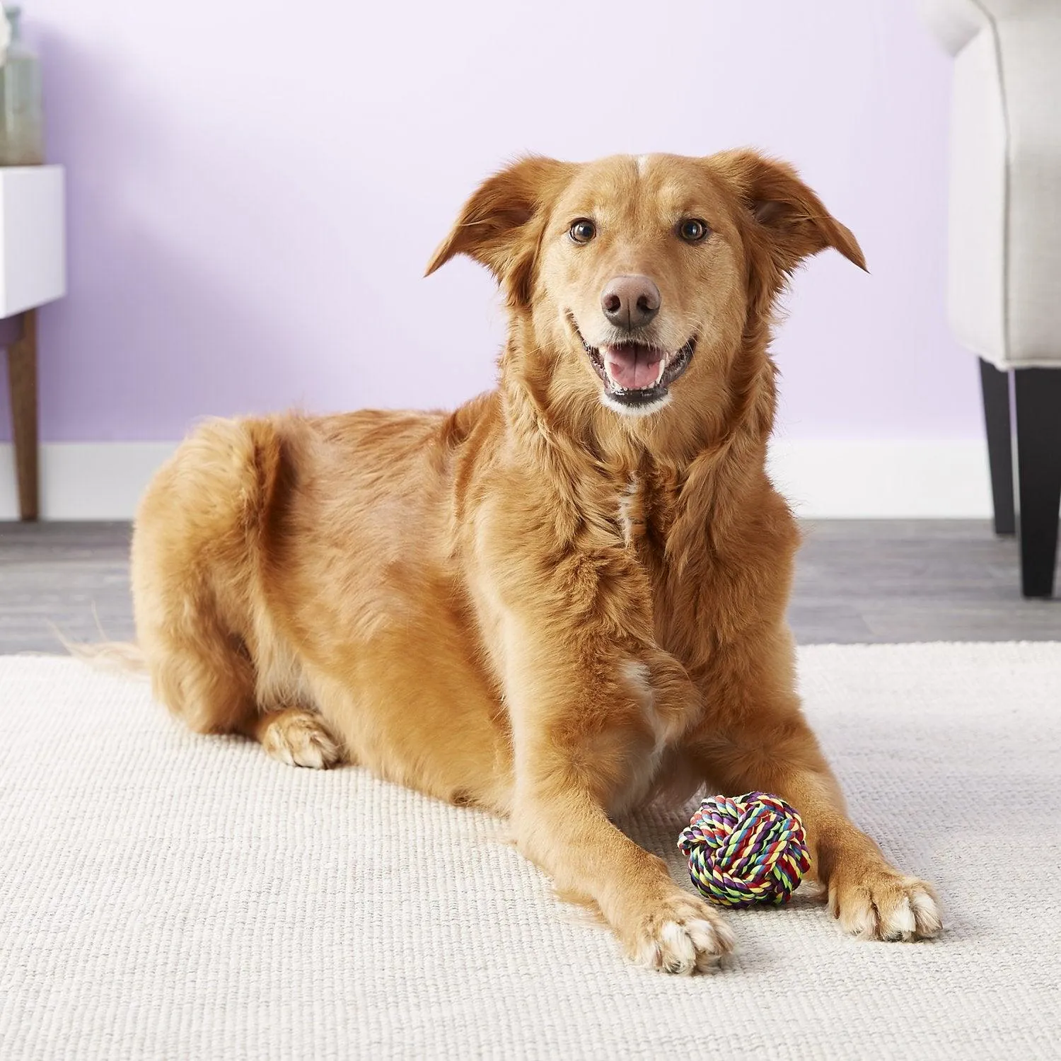 Multipet Nuts for Knots Ball Dog Toy: 3 Sizes