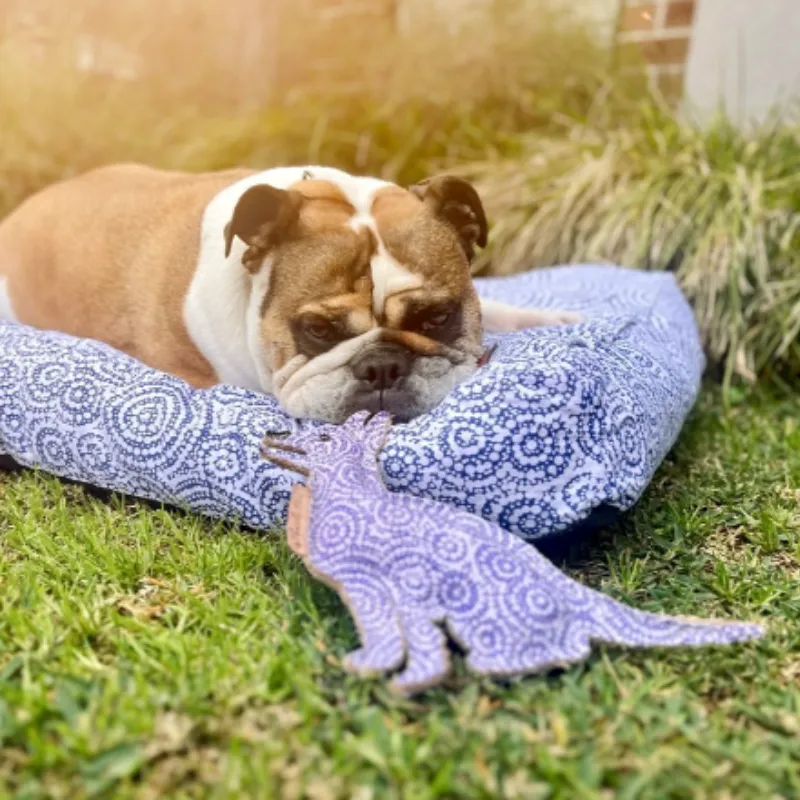 Outback Tails Desert Dog Toy Stinky (Ngama)