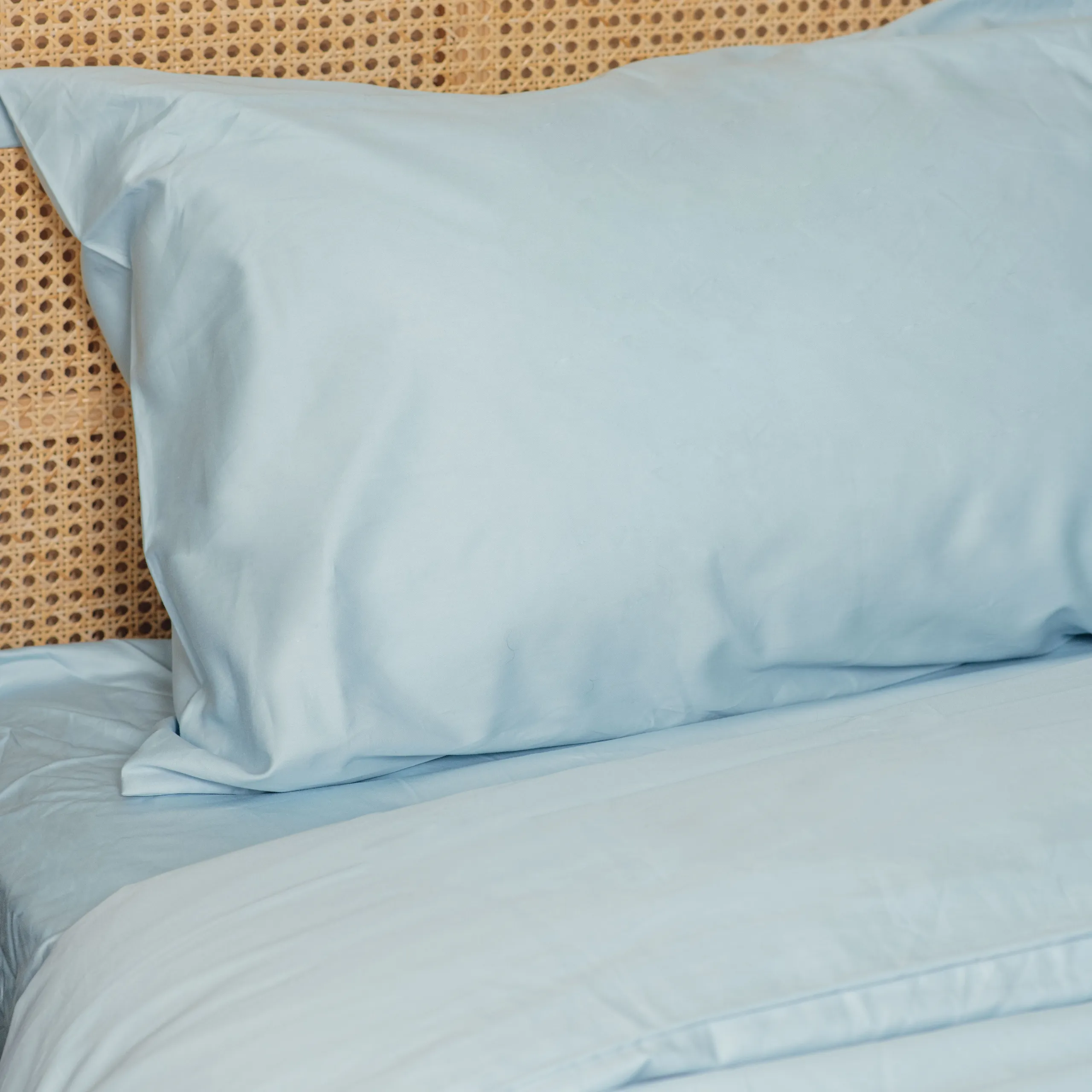 PupSheets™ Hair Resistant, Antimicrobial & Cooling Duvet Cover and Sham Set - Sky Blue