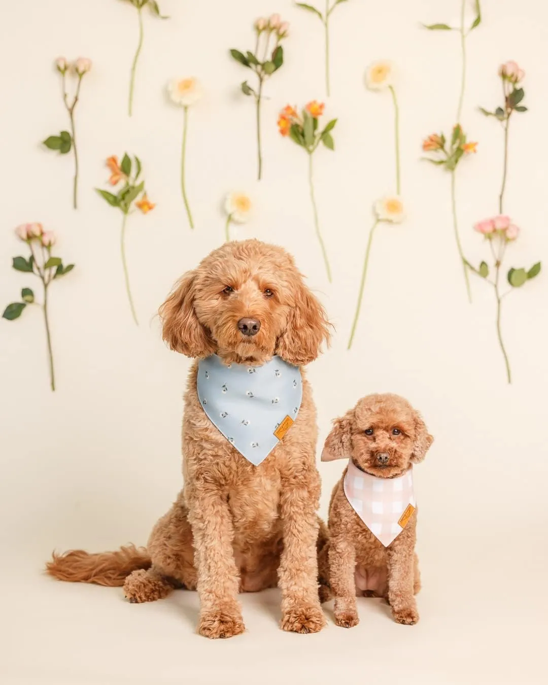 Remy Roo Small Spring Dog Bandanas - 4 Pack Emily Set | Premium Durable Adjustable Polyester Fabric Dog Scarfs | Patented Shape Girl Dog Bandana, Trendy Patterns, Floral Dog Bandana