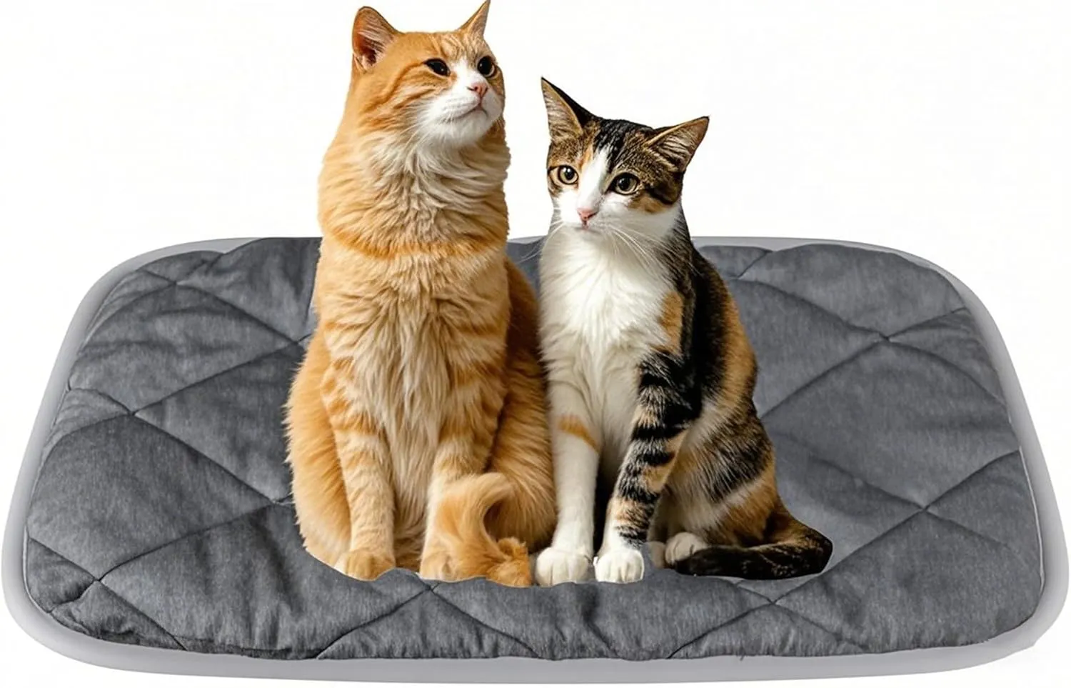 Thermal Mat Reflective Pet Heat Pad Self Heating Pad Non-Slip Washable Self Heating Mat for Indoor Dogs and Cats 27.5"x19"