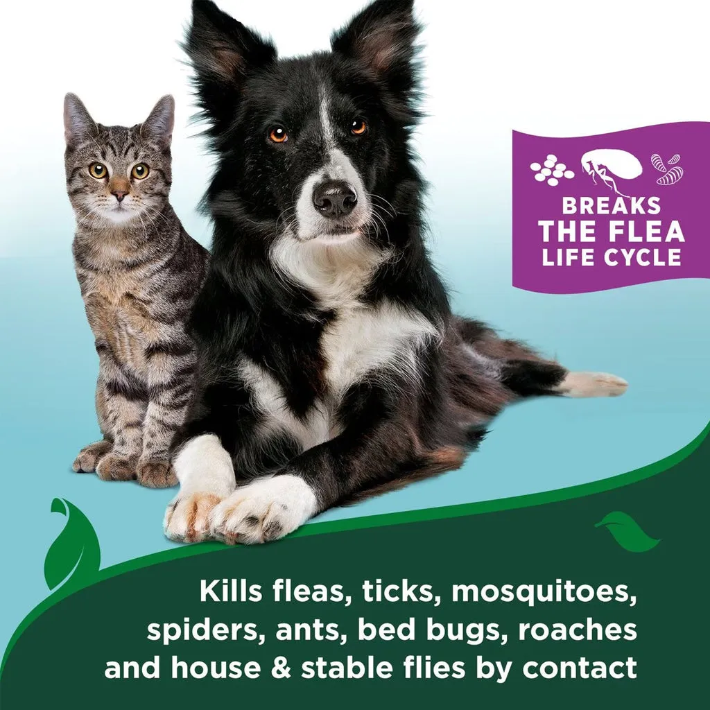 Waterless Flea & Tick Bath for Cats